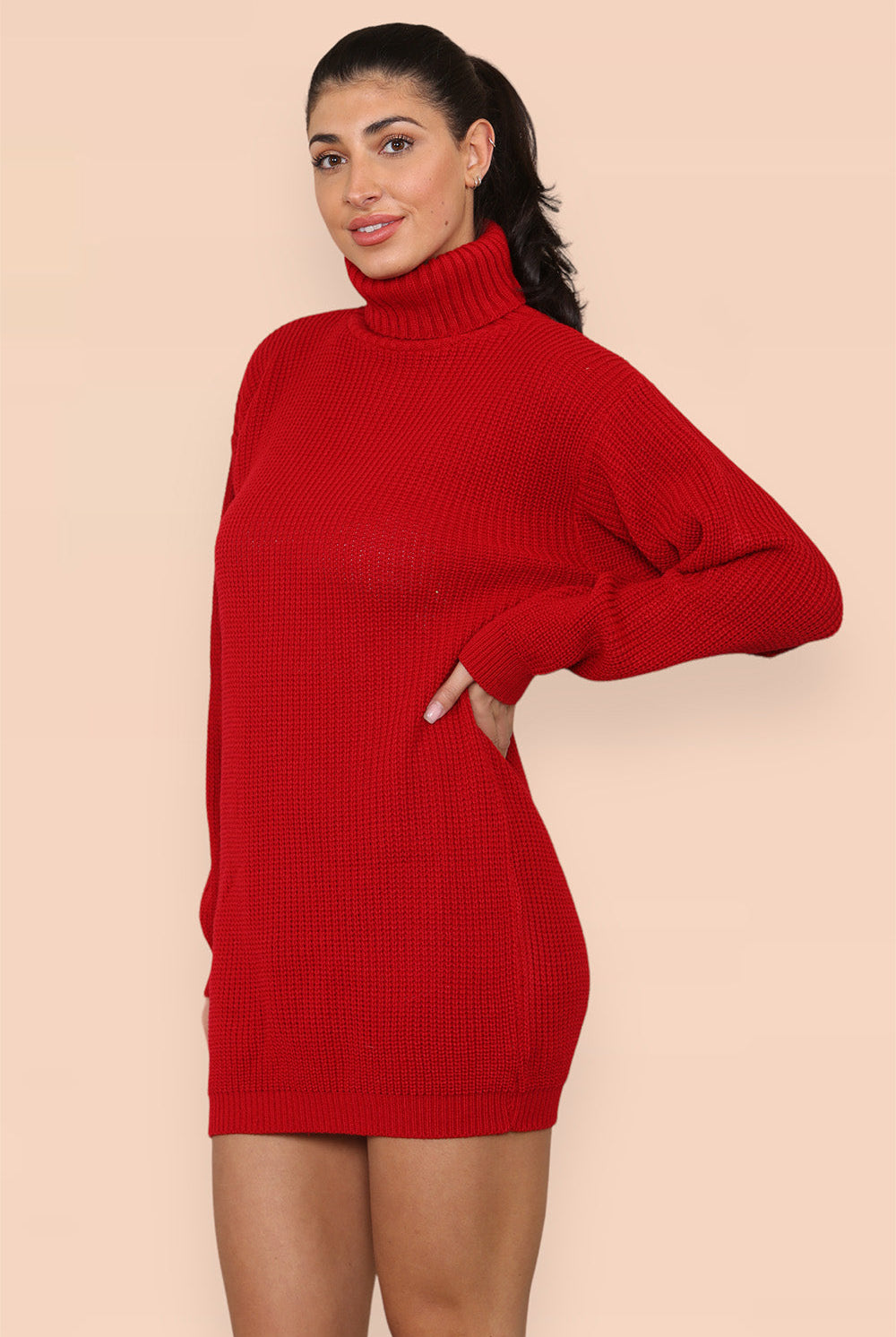 Polo Roll Neck Over Sized Ribbed Knitted Florescent Chunky Sweater Jumper Dress Playsuits & Jumpsuits WearAll