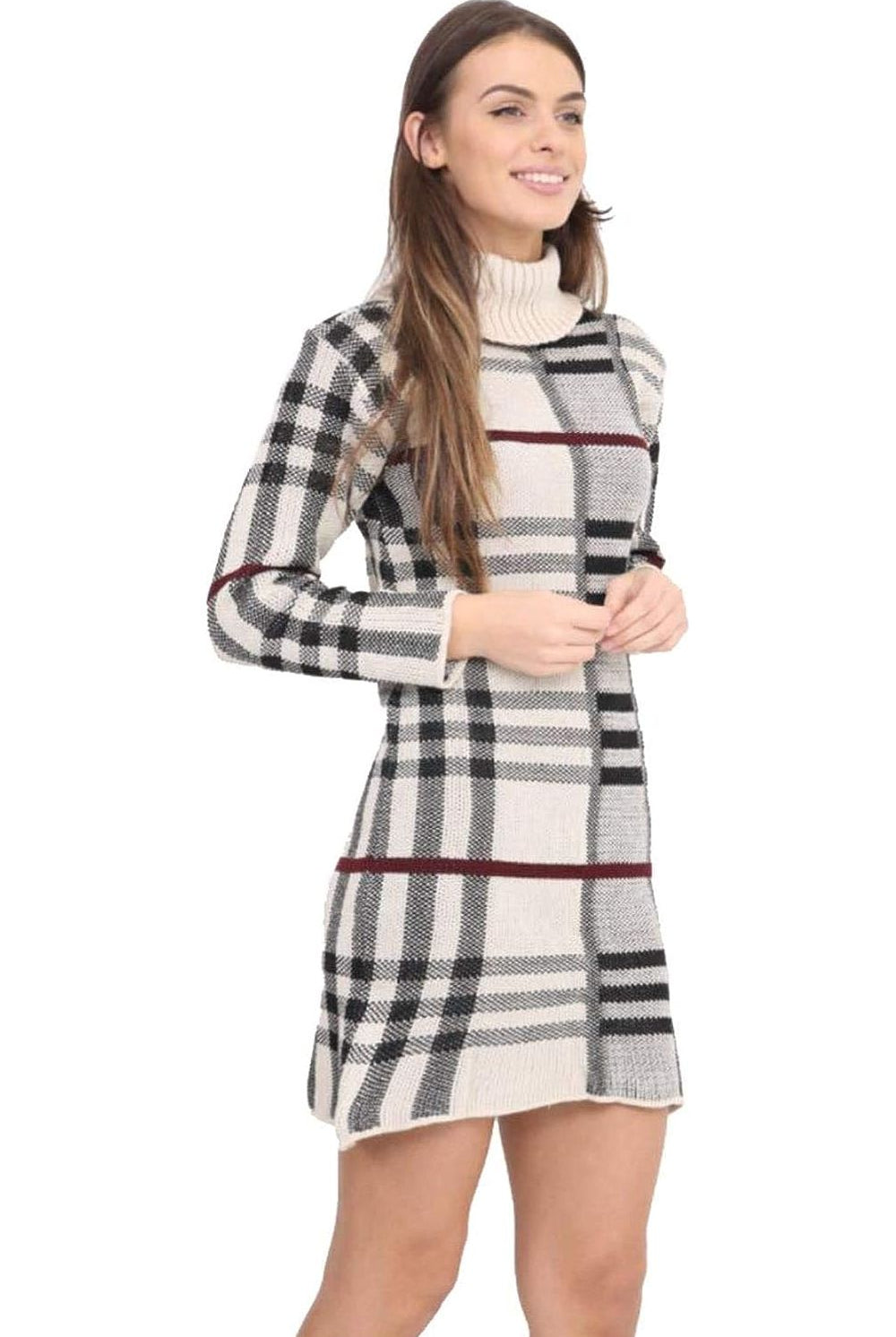 Plus Size Polo High Neck Check Print Jumper Dress Dress WearAll