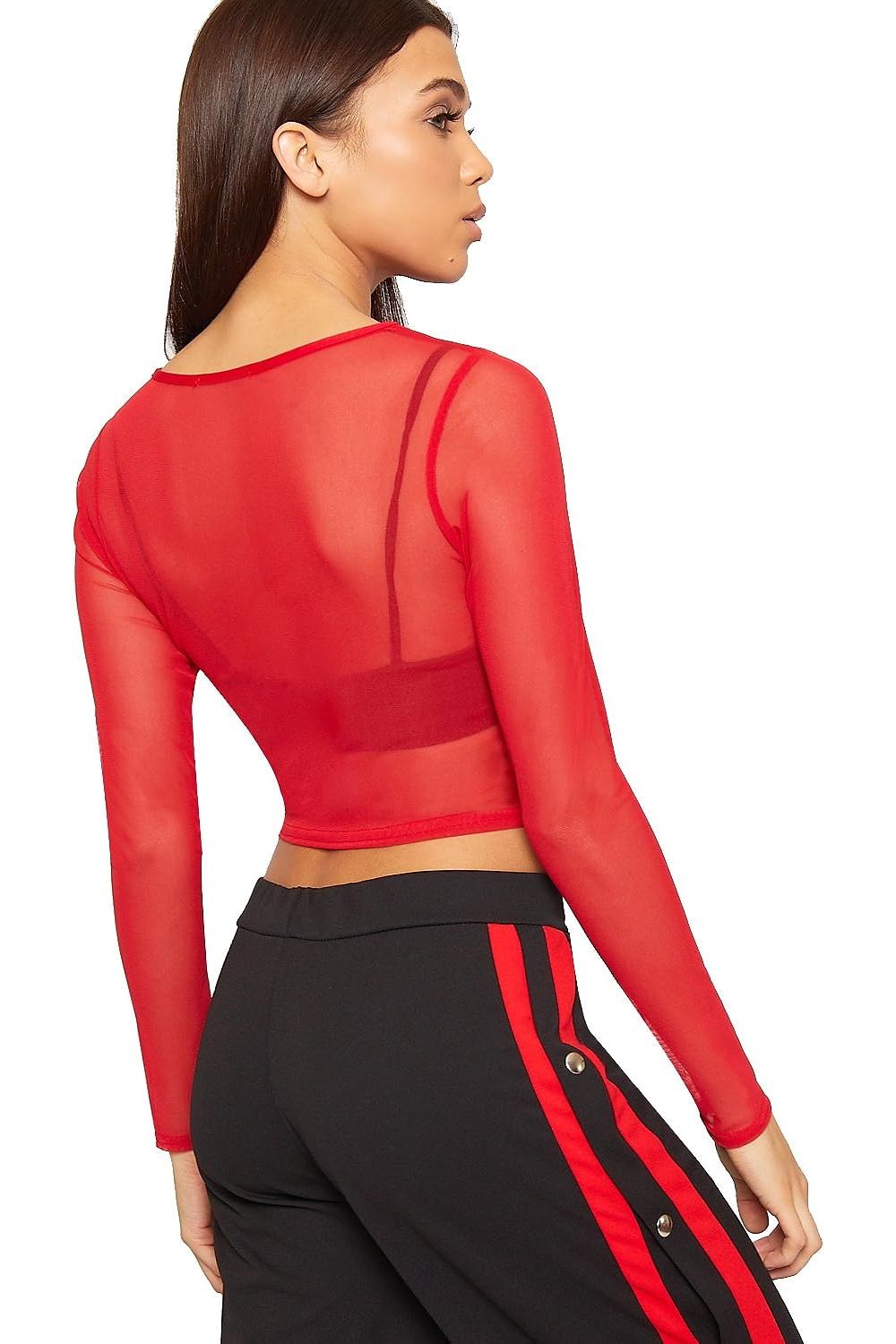 Sheer Mesh Long Sleeve Crop Top Tops WearAll