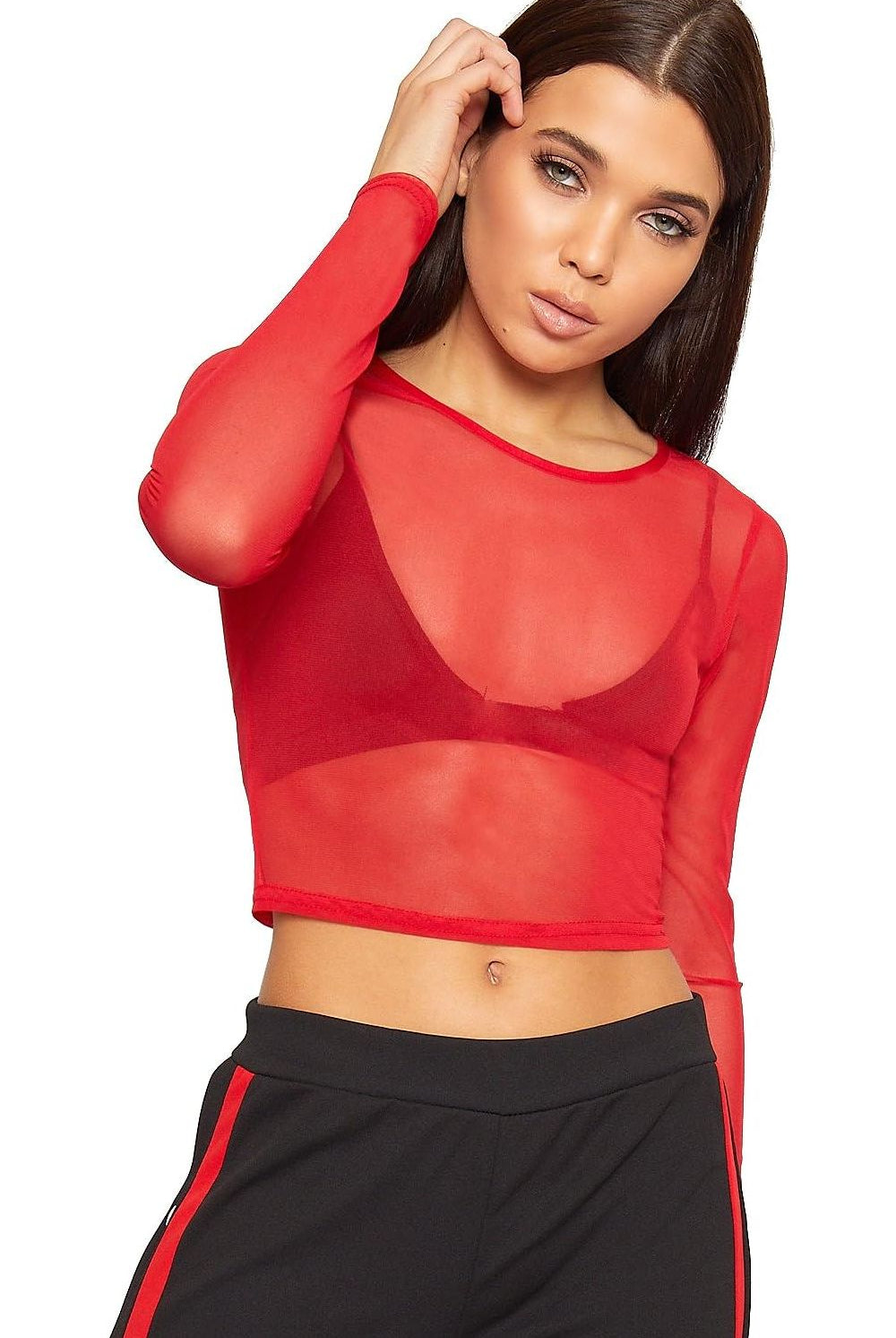 Sheer Mesh Long Sleeve Crop Top Tops WearAll