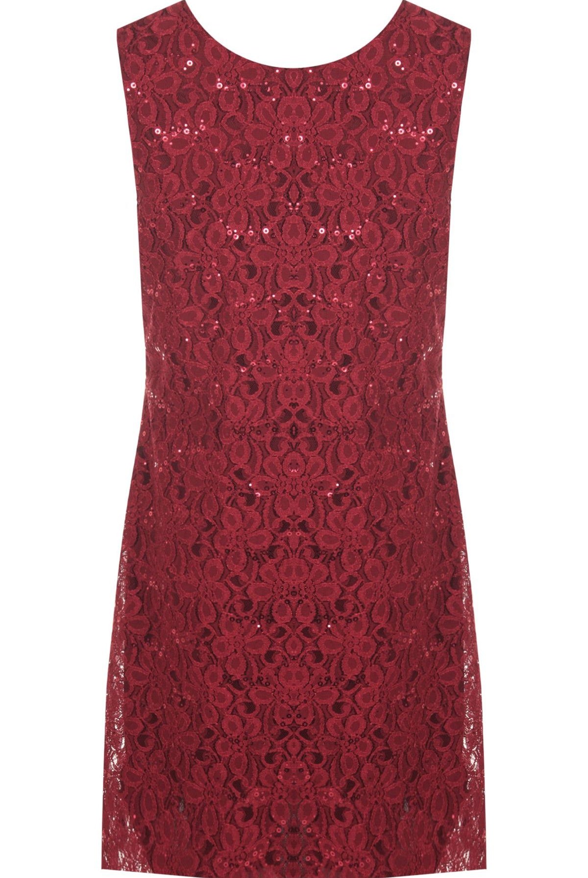 Flapper Lace Dress Dress WearAll