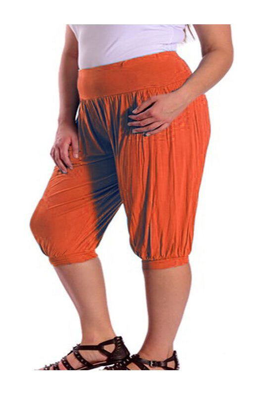 Plus Size Cropped Harem Trousers Trousers WearAll Rust 16-18