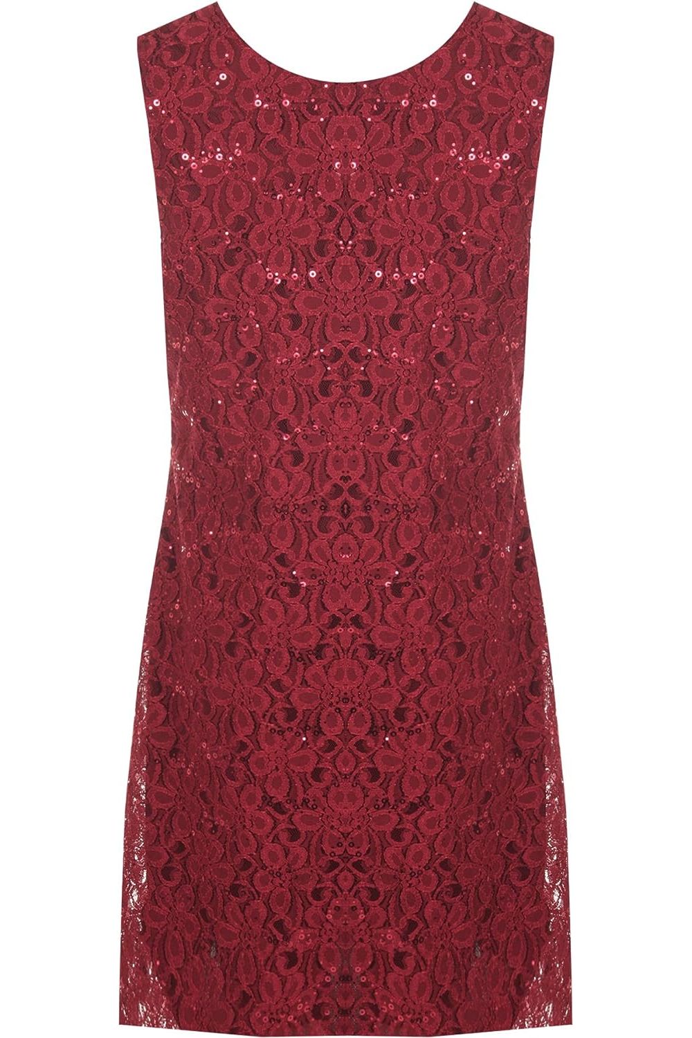 Sleeveless Lace Sequins Vest Dress Dress WearAll