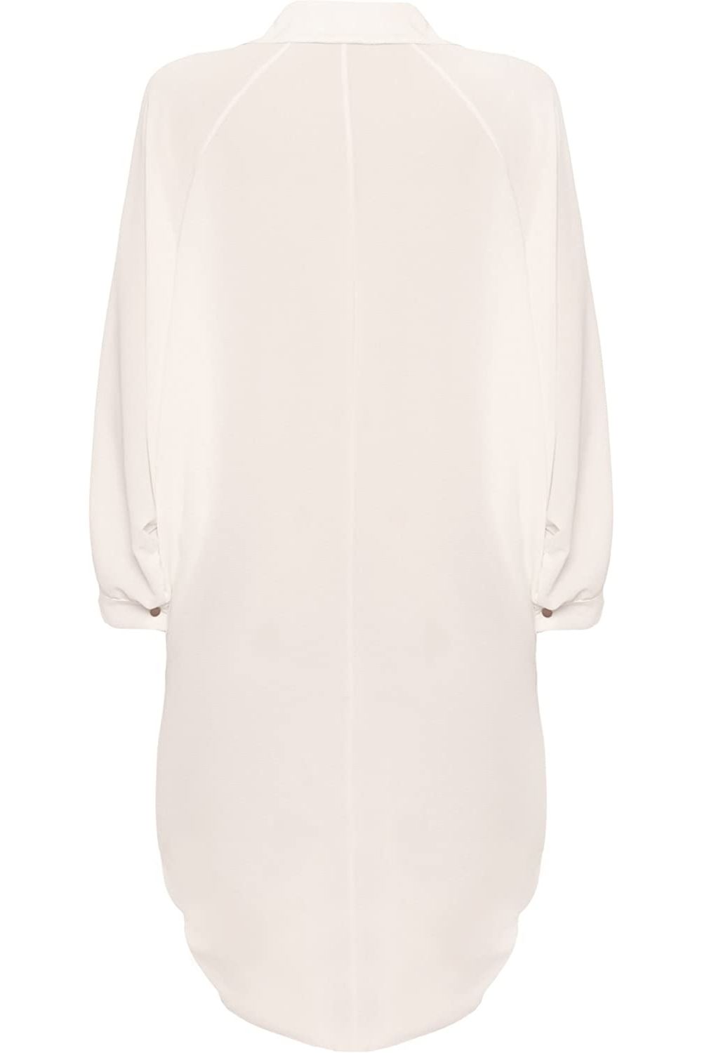 Plus Size Long Sleeve Hi Lo Button Collar Dress Dress WearAll