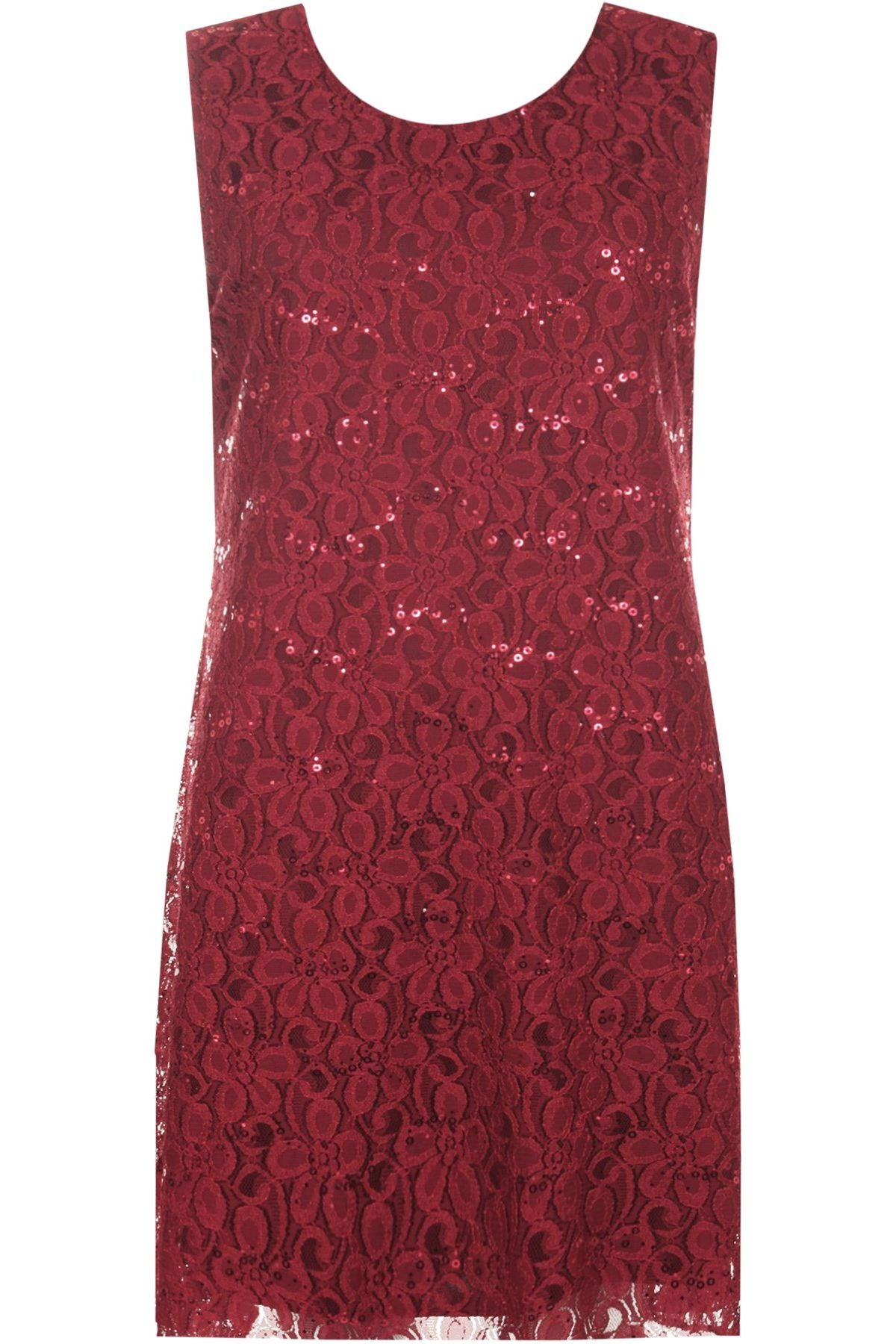Plus Size Flapper Lace Dress Dress WearAll Wine 16-18