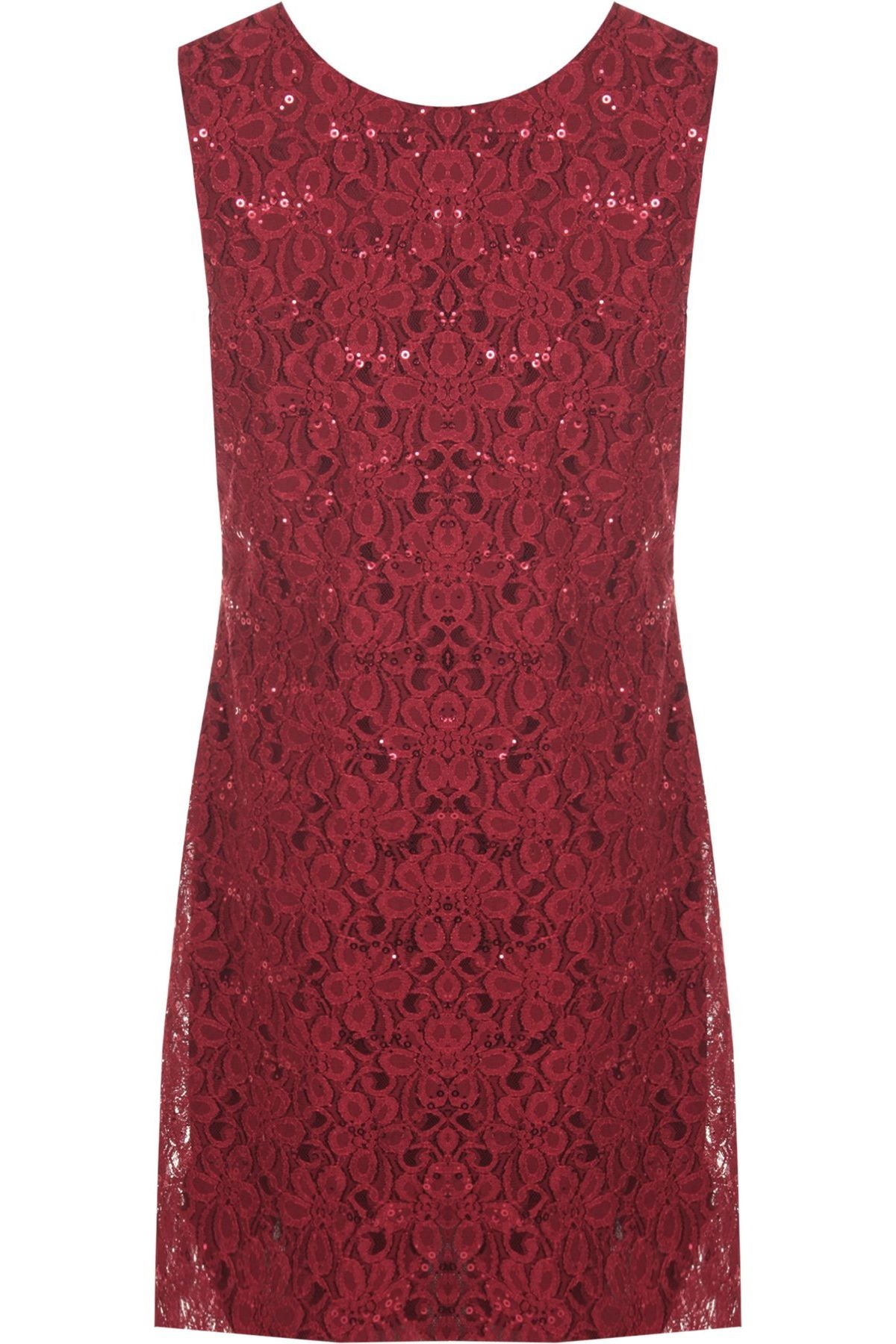 Plus Size Flapper Lace Dress Dress WearAll